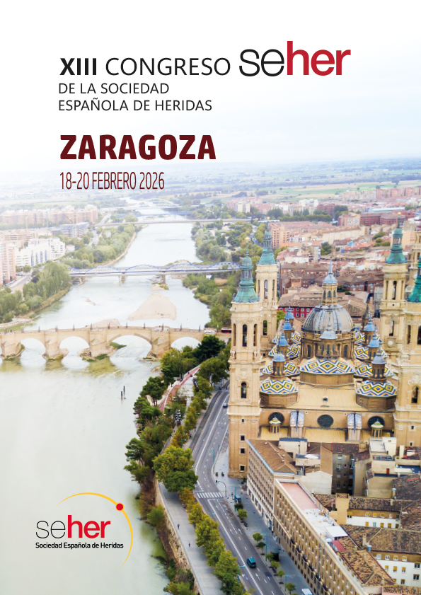 XIII CONGRESO SEHER 2026